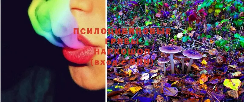 Псилоцибиновые грибы MAGIC MUSHROOMS  как найти наркотики  Венёв 